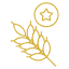 Sharbati Wheat Sourcing