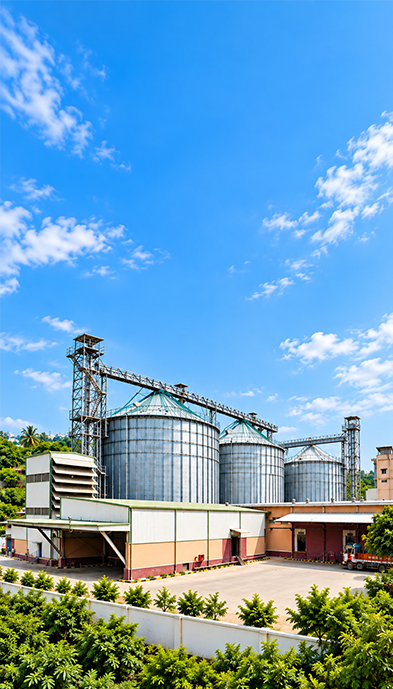 Tara Grains Infrastructure Mobile