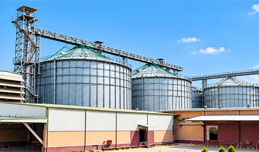 Tara Grains manufacturing facility
